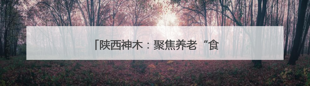 陕西神木：聚焦养老“食事” 守护幸福“食光”