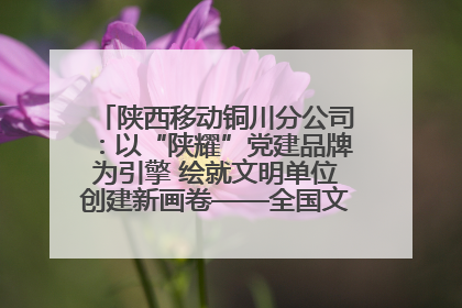 陕西移动铜川分公司：以“陕耀”党建品牌为引擎 绘就文明单位创建新画卷——全国文明单位创建纪实