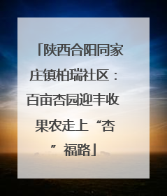 陕西合阳同家庄镇柏瑞社区：百亩杏园迎丰收 果农走上“杏”福路