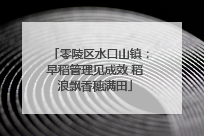 零陵区水口山镇：早稻管理见成效 稻浪飘香穗满田