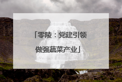 零陵：党建引领 做强蔬菜产业