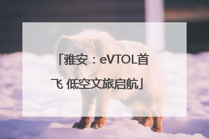 雅安：eVTOL首飞 低空文旅启航