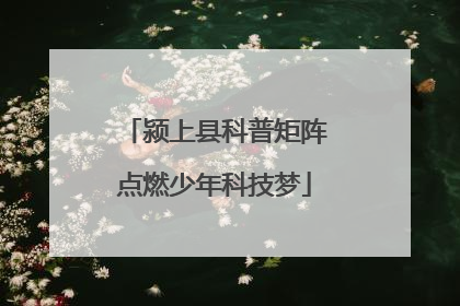 颍上县科普矩阵点燃少年科技梦