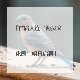 首届大连“海员文化周”明日启幕