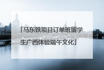马东铁项目订单班留学生广西体验端午文化