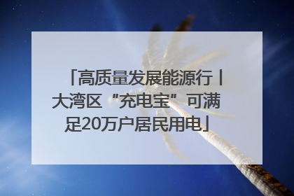 高质量发展能源行丨大湾区“充电宝”可满足20万户居民用电