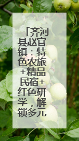 齐河县赵官镇：特色农旅+精品民宿+红色研学，解锁多元魅力