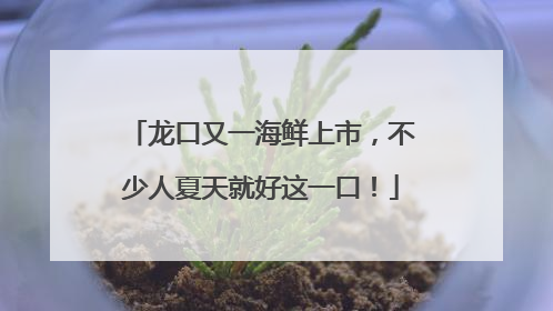 龙口又一海鲜上市，不少人夏天就好这一口！