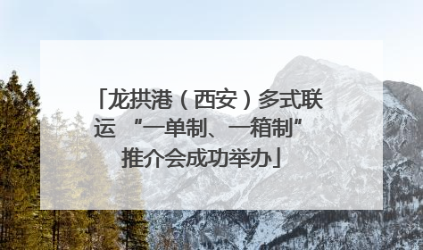龙拱港（西安）多式联运 “一单制、一箱制” 推介会成功举办