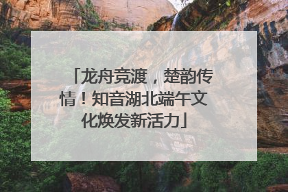 龙舟竞渡，楚韵传情！知音湖北端午文化焕发新活力