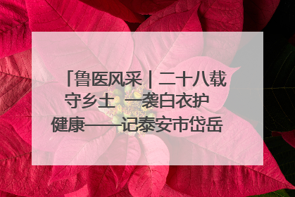 鲁医风采｜二十八载守乡土  一袭白衣护健康——记泰安市岱岳区满庄镇卫生院院长、主任医师张宝喜