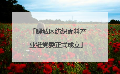 鲤城区纺织面料产业链党委正式成立
