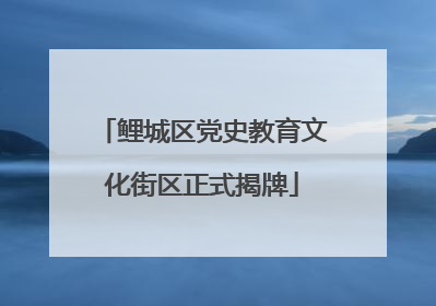 鲤城区党史教育文化街区正式揭牌