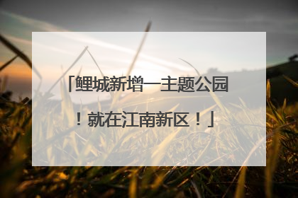 鲤城新增一主题公园！就在江南新区！