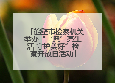鹤壁市检察机关举办“‘典’亮生活 守护美好”检察开放日活动