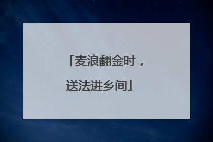 麦浪翻金时，送法进乡间