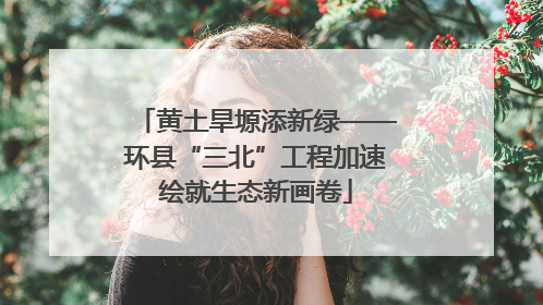 黄土旱塬添新绿——环县“三北”工程加速绘就生态新画卷
