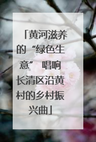 黄河滋养的“绿色生意” 唱响长清区沿黄村的乡村振兴曲