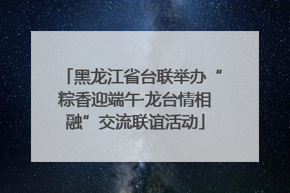 黑龙江省台联举办“粽香迎端午·龙台情相融”交流联谊活动