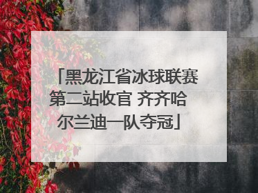 黑龙江省冰球联赛第二站收官 齐齐哈尔兰迪一队夺冠