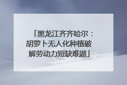 黑龙江齐齐哈尔：胡萝卜无人化种植破解劳动力短缺难题