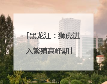 黑龙江：狮虎进入繁殖高峰期