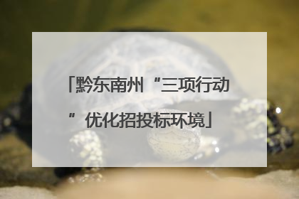 黔东南州“三项行动”优化招投标环境