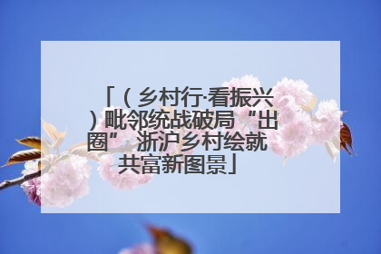 （乡村行·看振兴）毗邻统战破局“出圈” 浙沪乡村绘就共富新图景