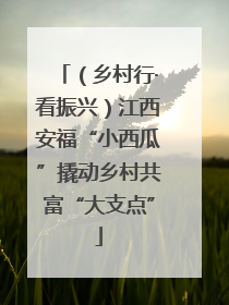 （乡村行·看振兴）江西安福“小西瓜”撬动乡村共富“大支点”