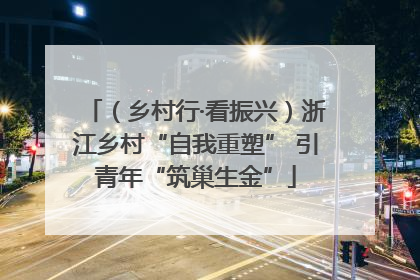（乡村行·看振兴）浙江乡村“自我重塑” 引青年“筑巢生金”