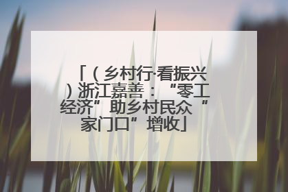 （乡村行·看振兴）浙江嘉善：“零工经济”助乡村民众“家门口”增收