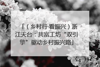 （乡村行·看振兴）浙江天台：共富工坊“双引擎”驱动乡村振兴路