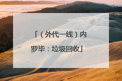 （外代一线）内罗毕：垃圾回收