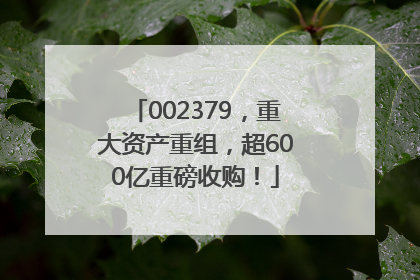 002379，重大资产重组，超600亿重磅收购！