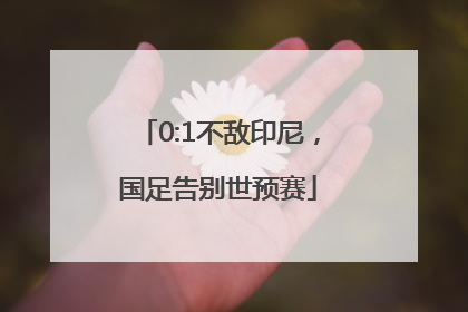 0:1不敌印尼，国足告别世预赛