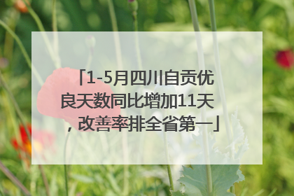 1-5月四川自贡优良天数同比增加11天，改善率排全省第一