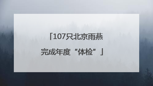 107只北京雨燕完成年度“体检”