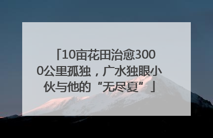 10亩花田治愈3000公里孤独，广水独眼小伙与他的“无尽夏”