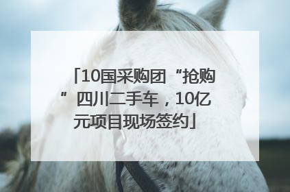10国采购团“抢购”四川二手车，10亿元项目现场签约