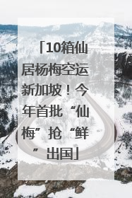 10箱仙居杨梅空运新加坡！今年首批“仙梅”抢“鲜”出国