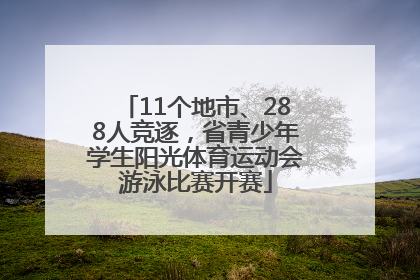 11个地市、288人竞逐，省青少年学生阳光体育运动会游泳比赛开赛