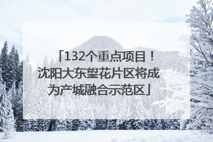 132个重点项目！沈阳大东望花片区将成为产城融合示范区