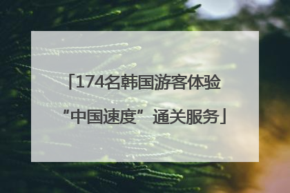 174名韩国游客体验“中国速度”通关服务