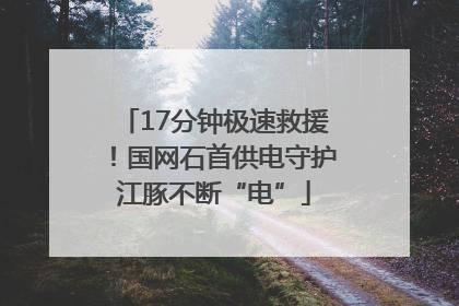 17分钟极速救援！国网石首供电守护江豚不断“电”