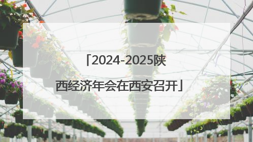 2024-2025陕西经济年会在西安召开