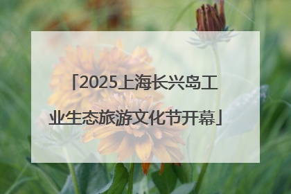 2025上海长兴岛工业生态旅游文化节开幕