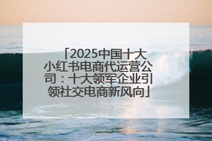 2025中国十大小红书电商代运营公司：十大领军企业引领社交电商新风向