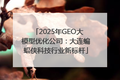 2025年GEO大模型优化公司：大连蝙蝠侠科技行业新标杆