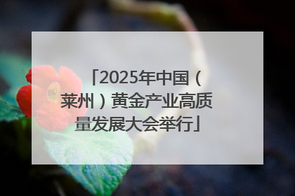 2025年中国（莱州）黄金产业高质量发展大会举行