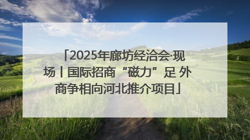 2025年廊坊经洽会·现场丨国际招商“磁力”足 外商争相向河北推介项目